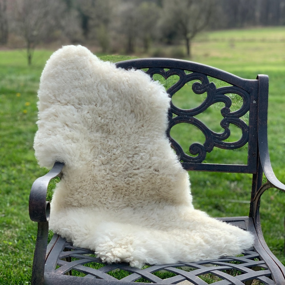 Bloggers favorite accessory Pottery Barn Lamb Skin